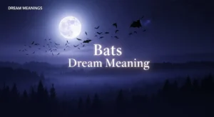 Bats Dream Meaning