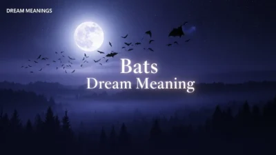 Bats Dream Meaning