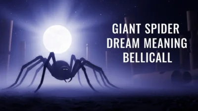 Giant Spider Dream Meaning Biblical