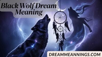 Black Wolf Dream Meaning