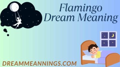 Flamingo Dream Meaning