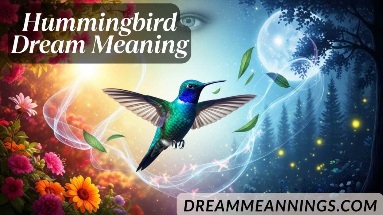 Hummingbird Dream Meaning