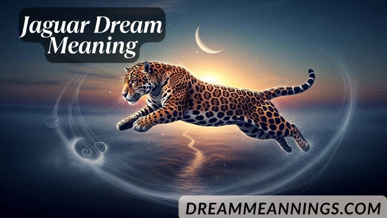 Jaguar Dream Meaning