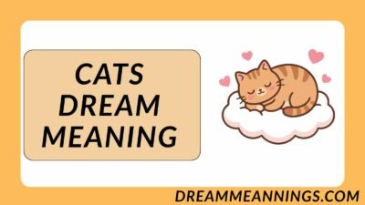 Cats Dream Meaning