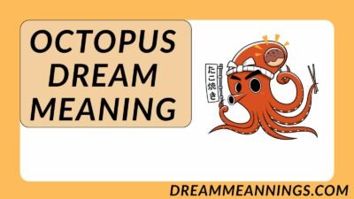 Octopus Dream Meaning