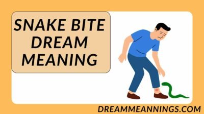Snake Bite Dream Meaning
