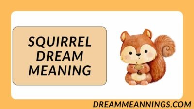 Squirrel Dream Meaning