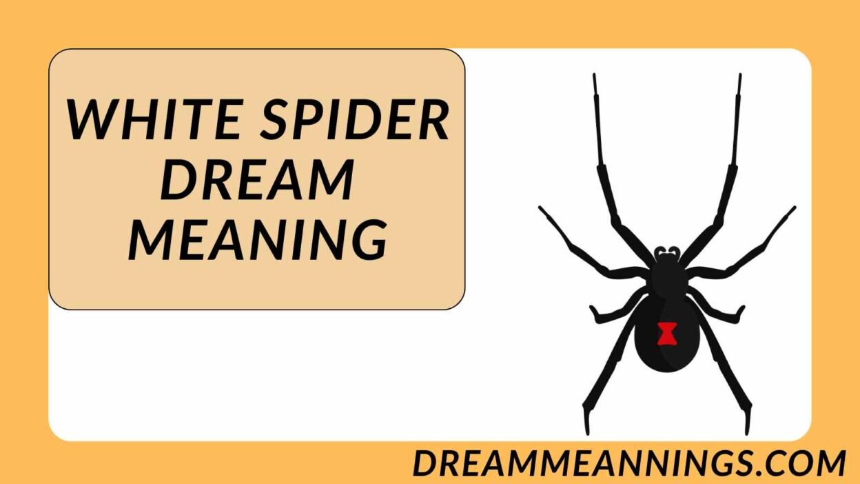 White Spider Dream Meaning