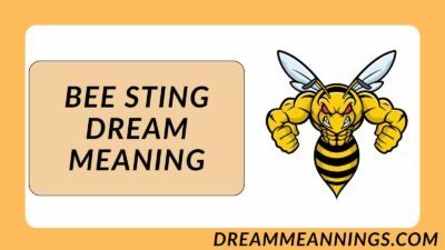 Bee Sting Dream Meaning