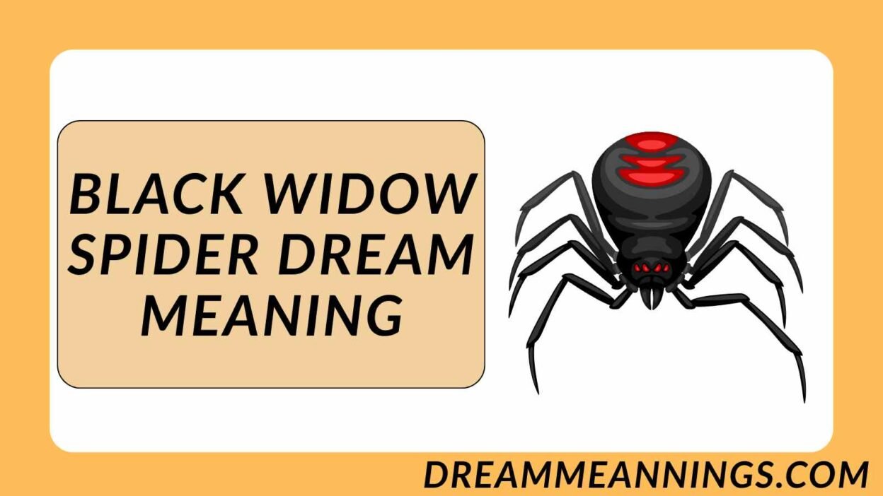 Black Widow Spider Dream Meaning