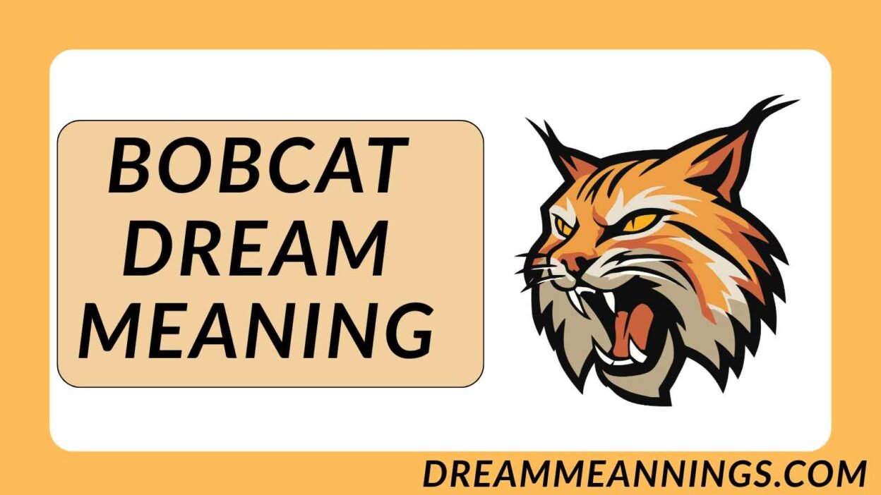 Bobcat Dream Meaning