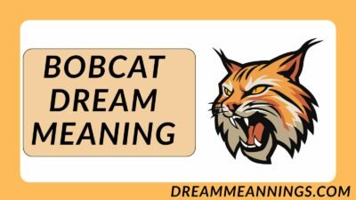 Bobcat Dream Meaning