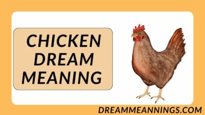 Chicken Dream Meaning