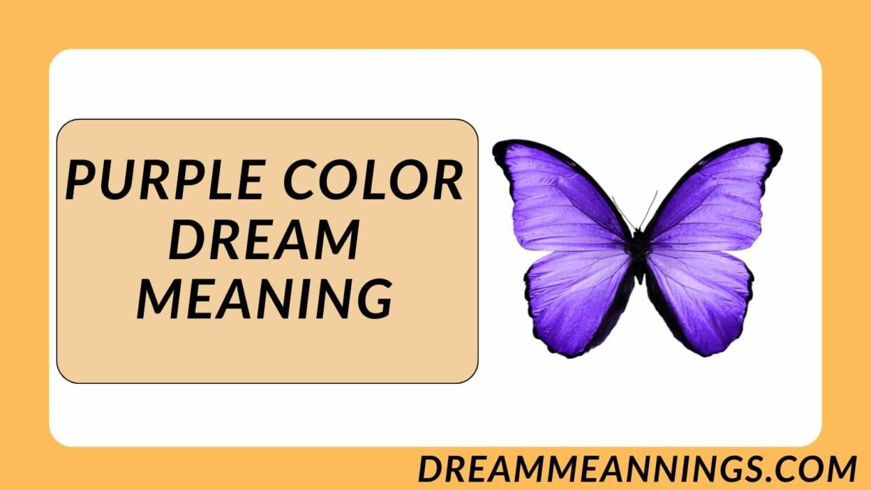 Purple Color Dream Meaning