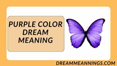 Purple Color Dream Meaning