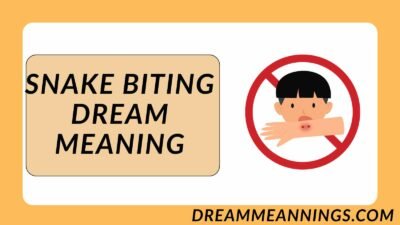Snake Biting Dream Meaning