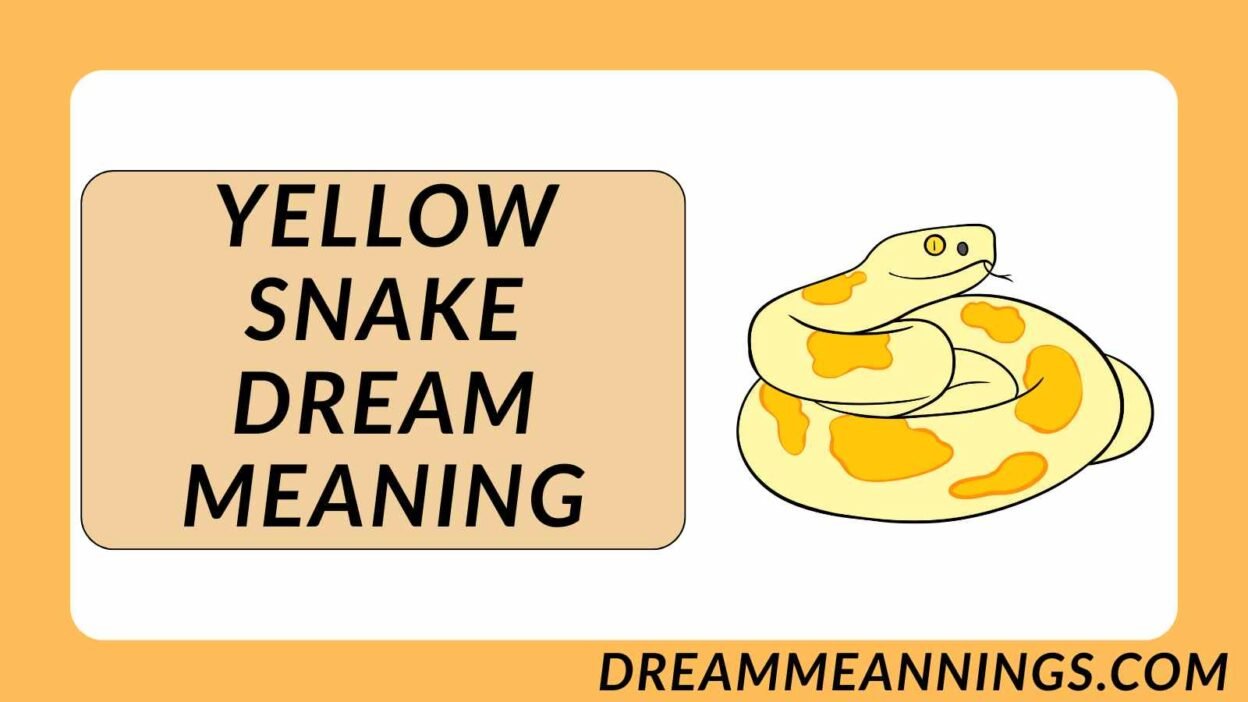 Yellow Snake Dream Meaning