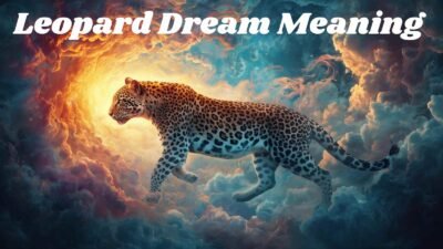 Leopard Dream Meaning