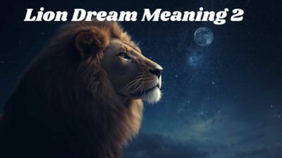 Lion Dream Meaning 2