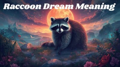 Raccoon Dream Meaning