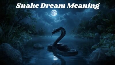 Snake Dream Meaning