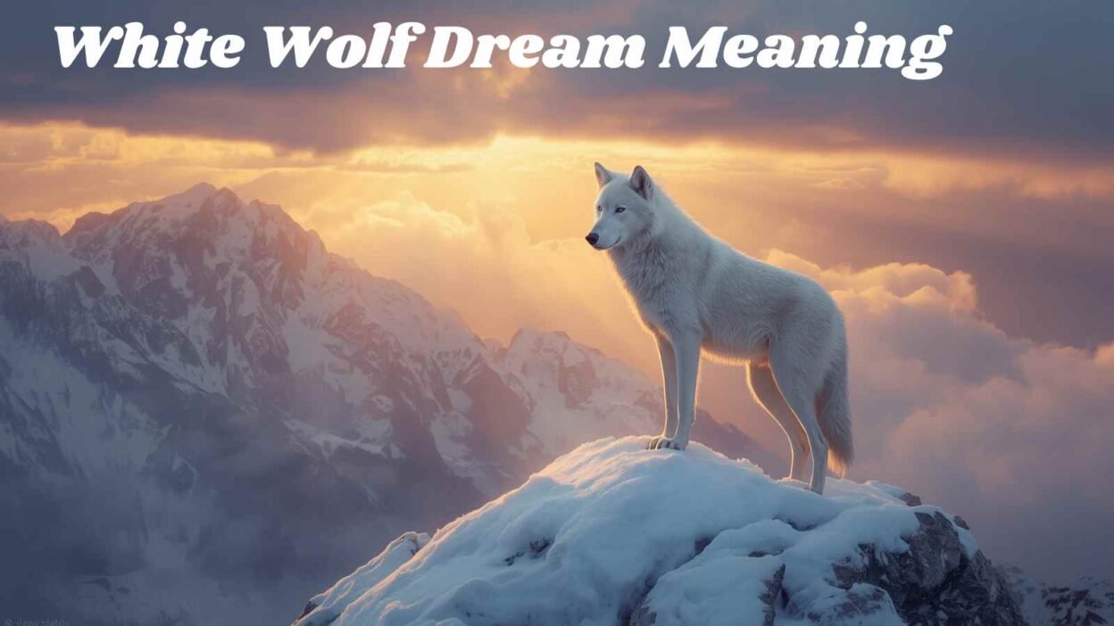White Wolf Dream Meaning
