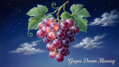 Grapes Dream Meaning